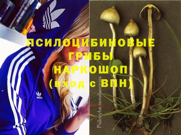 apvp Зерноград