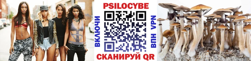 Купить  Искитим  Псилоцибиновые грибы мухоморы 